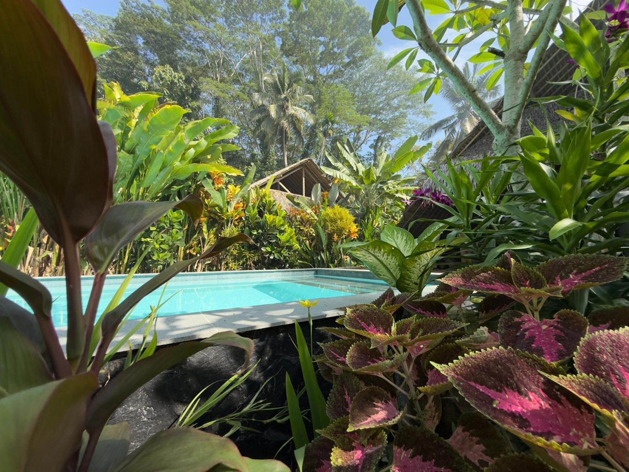 Rnv Eco Resort Bungalows Batukaras Kültér fotó