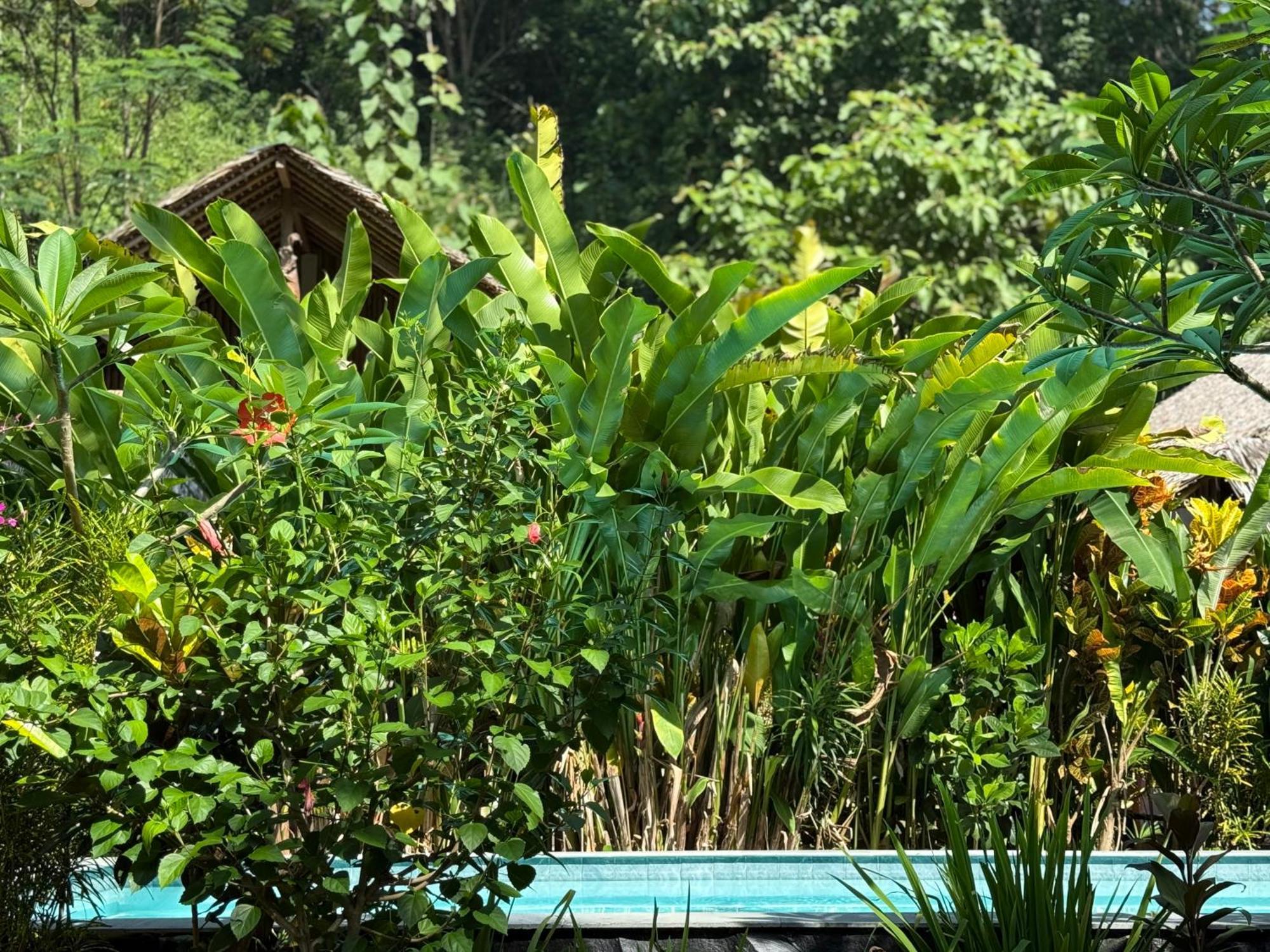 Rnv Eco Resort Bungalows Batukaras Kültér fotó